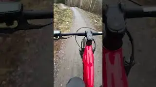 Banchory black trail