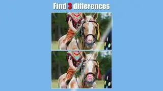 241218 Spot Differences Find  HP156 EN 1280&times;720