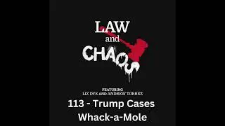 Ep 113 &mdash; Hey, DOJ, Some Idiot Is Signing Your Name On Pleadings
