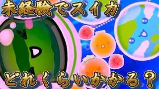 【スイカゲームプラネット】完全未経験者がスイカを作るまで