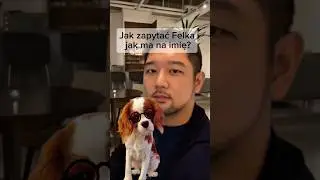 Jak zapytać Felka jak ma na imię? #suchary