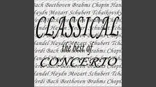 Trumpet Concerto in E Flat Major: III. Finale-Allegro