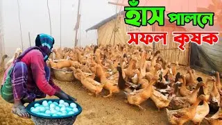 হাঁস পালনে স্বাবলম্বী কৃষক ৩০০ হাঁসে বছরে আয় ২,৫০,০০০/=  আড়াই লক্ষ টাকা।। Duck Farm। Agro Tips