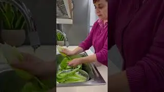COME RACCOGLIERE E CONSERVARE L'INSALATA - Fatto in Casa da Benedetta