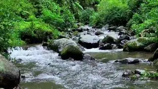 Soothing river sound by soft moving water keeping peaceful deep sleep steady through quiet nights
