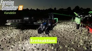 Kartoffel Ernte | LS19 Kandelin [DEUTSCH/German]