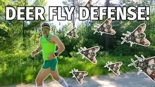 Trail Running Tips to STOP Deer Flies