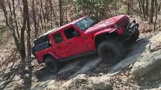 20211121 110759136, Rausch Creek, Travis, Trail 35 Mid, Northbound