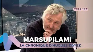 MARSUPILAMI 