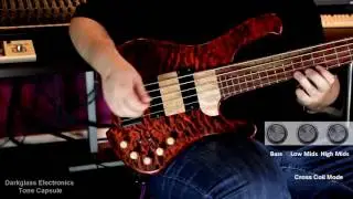 39 Custom Guitars CK Canorous Demo