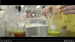 For Students - What Happens at the NYSF Year 12 Program