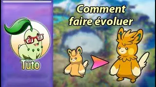 [Tuto] Pok&eacute;mon Ecarlate/Violet : Comment faire &eacute;voluer Pohmotte en Pohmarmotte