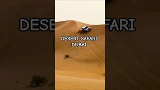 Desert Safari Dubai! 🏜️🐪 #Safari #Dubai #Adventure #dubailfe #dubai vibes