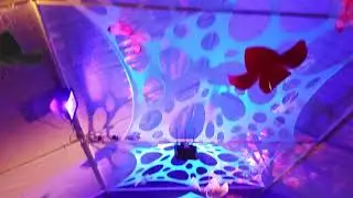 Tribal Sphere  1  2019