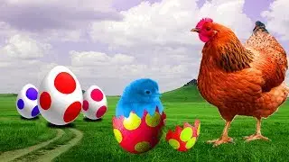 Learn Colors With Hen Surprise Eggs For Children 3D Learn Colorful Chicks For Children Color Eggs