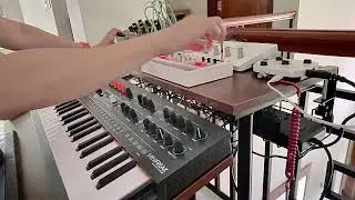 Trial and error with the Moog Mother 32 #beginnersynthlover