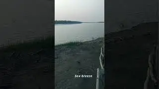 SUNDARBAN. 4   📸🐆🐅🐅🐅🐆🐅today'svideo