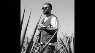 [FREE] Karan Aujla x Badshah Type Beat - 