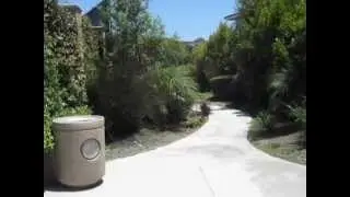 Newport Shores Video