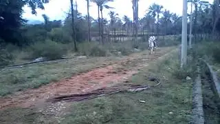 MOV01286