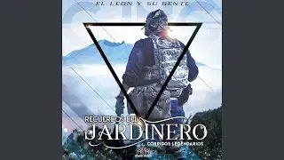 El Pelón