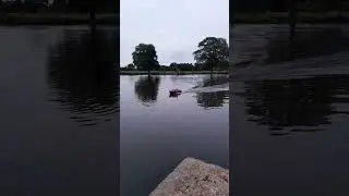 Tiny Tyne on the boating lake #lifeboat #modelboat #boatinglake