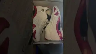 Air Jordan 14 Rip Hamilton
