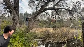 Doing Manly Shit