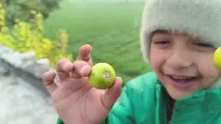 चूल्हे पर बनाये परांठे