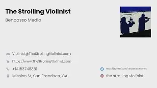 🎻 