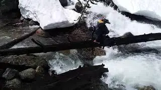 Hikers traverse log over whitewater | Pacific Crest Trail