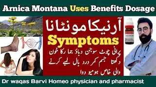 Arnica 200 homeopathy uses|Arnica montane homeopathic medicine|arnica montana