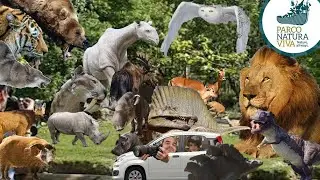 Parco Natura Viva