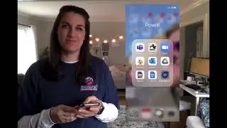 LaborNet App - How to Get a Free Background Check