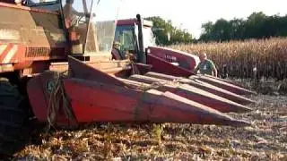 Moissoneuse Batteuse MF 825