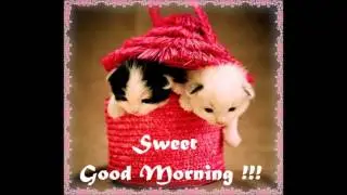 Good Morning Message For Whatsapp