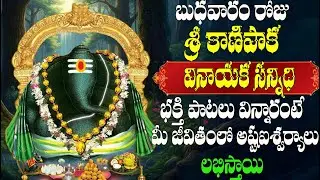 బుధవారం  శ్రీ కాణిపాక వినాయక సన్నిధి పాటలు  విన్నారంటే  మీ జీవితంలో అష్టఐశ్వర్యాలు లభిస్తాయి