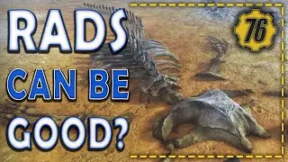 Can I 100% the New Season 13 Scoreboard in 48 hours? ☢️ Fallout 76 - Shoot for the Stars