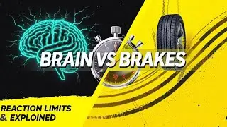 How Human Reflexes Influence Emergency Braking Outcomes