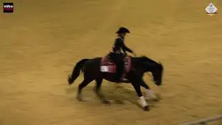 German Open 2021 EWU Champion Younstars Reining 6J Lena Hoffmann mit ShesasparklingMinnie