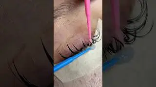 Закрытый клуб для мастеров по наращиванию ресниц,разбор эффектов,видео уроки,фишки и лайфхаки #lash