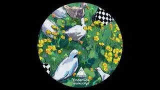 Endemica - Prophecy
