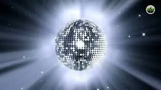 DISCO Vibe