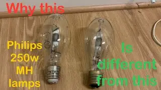 Philips 250w metal halide light bulbs + info on USA vs Chinese/Indian lamps and bug attraction test