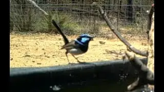 At the water in February 2020