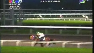 MHP SLLP FEB. 4, 2012 RACE 8 GALE FORCE.mpg