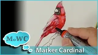 How to Paint a Cardinal with Winsor Newton Watercolor Markers