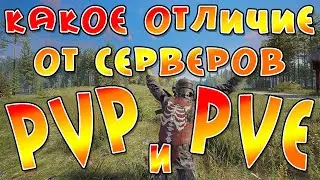 Какое отличие от серверов PVP и PVE в DEADSIDE