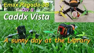 E5liteHD - Ripping the library trees with confidence using the Emax Pagoda-3B