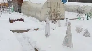 ДАЧА/ЗИМА ПРИШЛА/ЧИСТИМ ДОРОЖКИ.10.12.25г